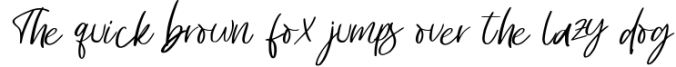 Renaldi - Luxury Script Font Font Preview