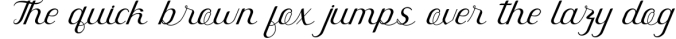 Rahaely - Elegant Script Font Font Preview