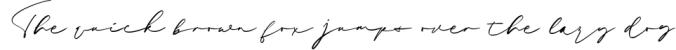 Sieralova - A Beauty Handwritten Font Font Preview