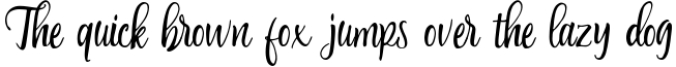Any Wishes|| Natural Handwritten Script Font Preview