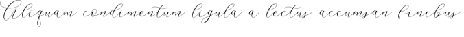Rowley Script Font Preview