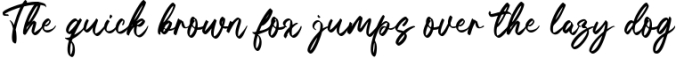 Amore Eiffel - A Beauty Handwritten Font Font Preview