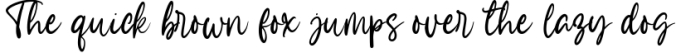 Beauty Bailey - A Beauty Handwritten Font Font Preview