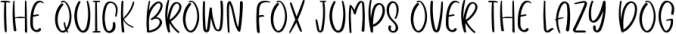 Paisley Font Preview