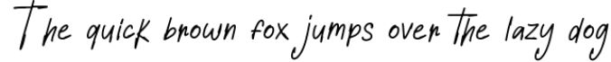 Wellbotth - Handwritten Font Font Preview