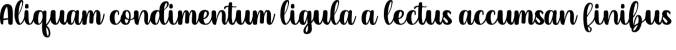 Shady Cave Font Preview