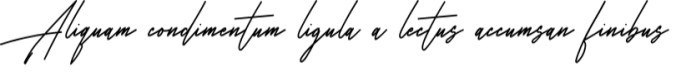 Harris Signature Font Preview