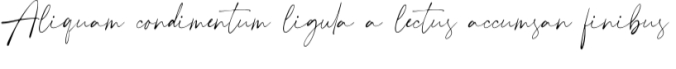 Plumrose Signature Font Preview
