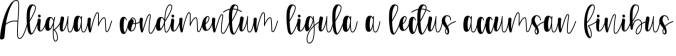 Rumaniaya Font Preview