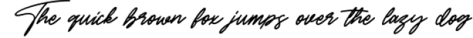 Gottar Adsset Signature Brush Font Font Preview