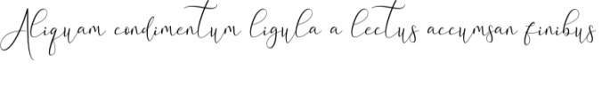 Abiggail Font Preview