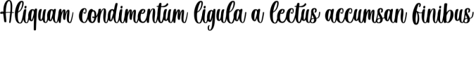 Winter Creative Font Preview