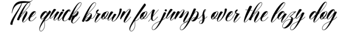 Font Collection Bundle Font Preview