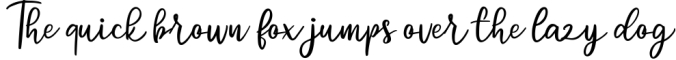 Jissela | Beauty Script Font Font Preview