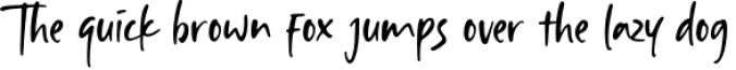 20 Display Font Bundle ! Font Preview