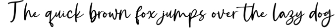 Starling Bright-Elegant Handwritten Font Font Preview