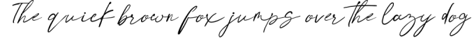 The Santa - Modern Signature Font Font Preview