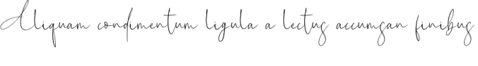 New York Signature Font Preview