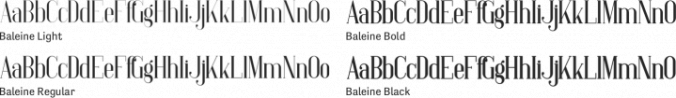 Baleine Font Preview