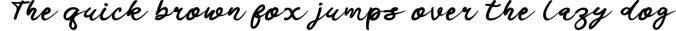 Signature Font Preview