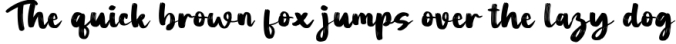 Aprilia Brush Font Font Preview