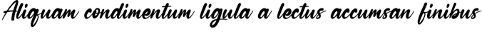 Winter Holidays Font Preview