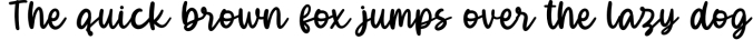 Pheonies-Handwritten Font Font Preview