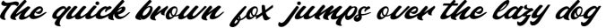 Pahitna Handwritten Script Font Font Preview