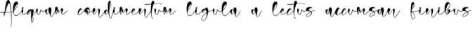Christmas Signature Font Preview
