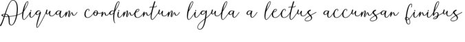 Andira Font Preview