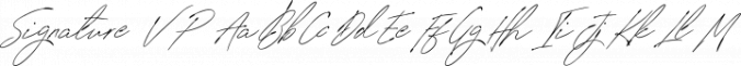 Signature VP Font Preview