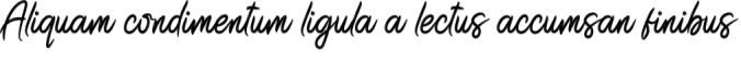 Kamelia Font Preview