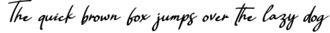 Rellata - Handwritten Font Font Preview