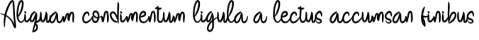 Festival Font Preview