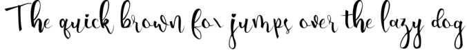 Amanda - Modern Calligraphy Script Font Preview