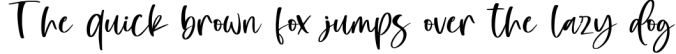 Eloisse-Elegant Handwritten Font Font Preview
