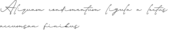 Alexandria Rose Font Preview