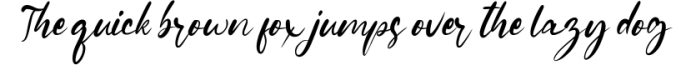 Gianella Script Font Preview