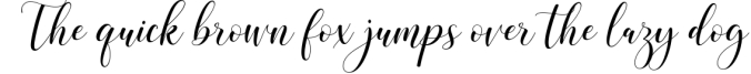 Austeria Script - Calligraphy Font Font Preview