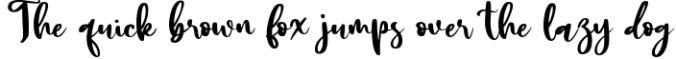 Sally & Smith - Beautiful Script Font Font Preview