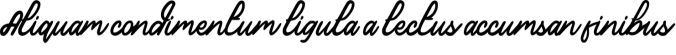 Aquila Font Preview