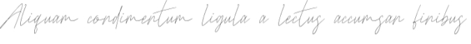 Whalloosh Font Preview