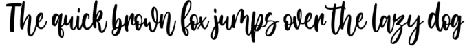 Modern Script Font - Amerta Wilson Font Preview