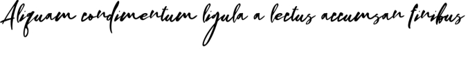 OnsFina Font Preview