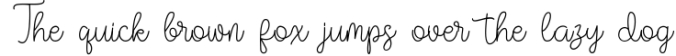 Vilova | A Handwritten Signature Font Font Preview
