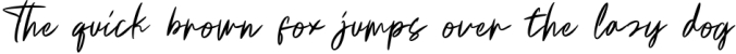 Whistler signature Font Preview