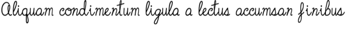 Violet Honey Bee Font Preview