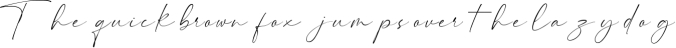 Hammington Casual Signature Script Font Font Preview