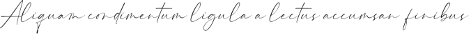 Hammington Signature Font Preview