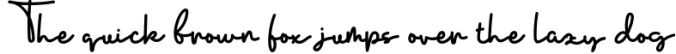 Eralyne | Monoline Handwritten Font Font Preview